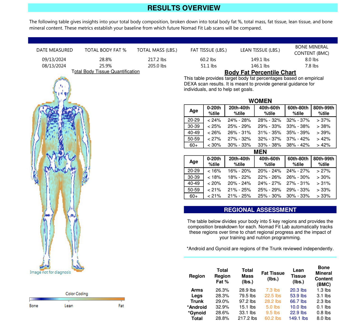 How to Interpret DEXA Scan Results Nomad Fit Lab